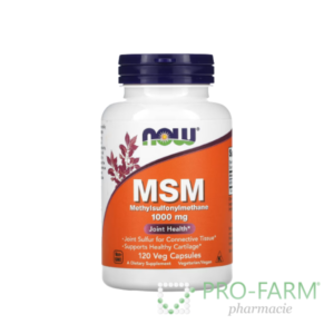 MSM Capsules 1000 mg x 120